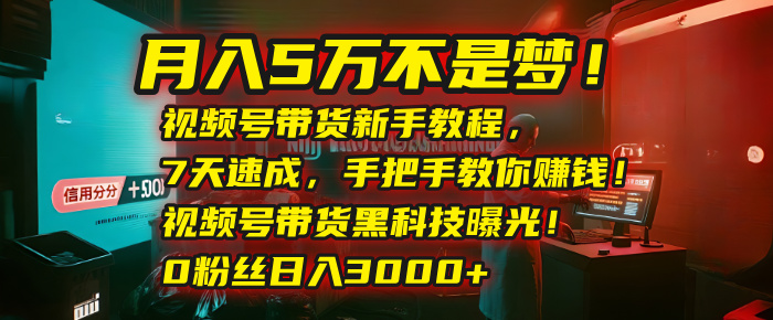 月入5万不是梦！视频号带货新手教程，7天速成，手把手教你赚钱！视频号带货黑科技曝光！0粉丝日入3000+-想要创业网
