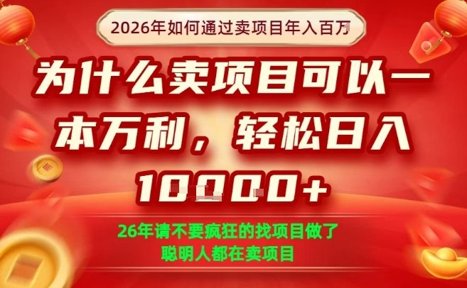 一单净利润1K+,26年想年入100个W,死磕卖项目就够了【揭秘】-想要创业